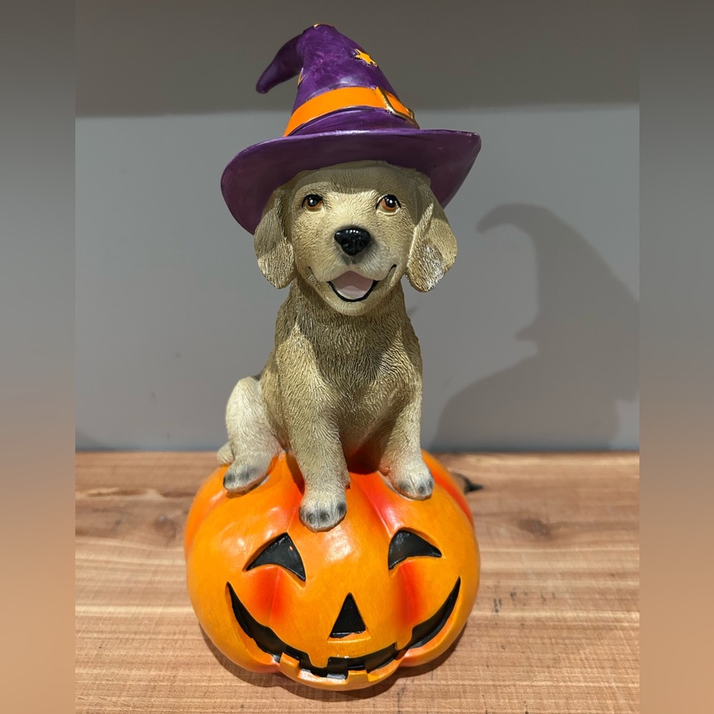 NEW Dog In Witch Hat Sitting on a Pumpkin Statue
